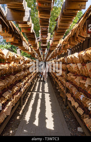 Holz- Tabletten, Hikawa Schrein, Kawagoe City, Präfektur Saitama, Japan Stockfoto