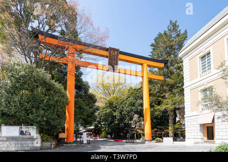 Torii Tor, Hikawa Schrein, Kawagoe City, Präfektur Saitama, Japan Stockfoto