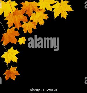 Herbst Ahorn Blätter auf Schwarz isoliert. Vector Illustration. Stock Vektor