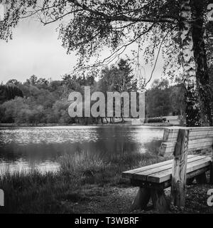 Bank am See von Sauviat in Schwarz und Weiß, französische Landschaft Stockfoto