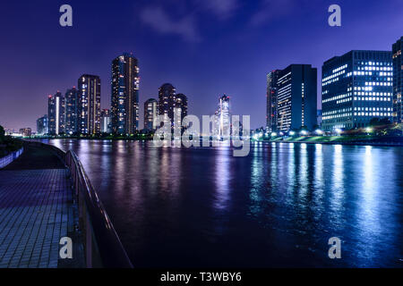 Silhouette der Tokioter Skyline leuchtet in der Nacht, Tokyo, Japan Stockfoto