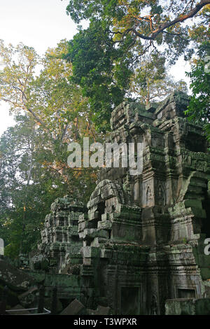 Ruiniert zentralen Tempel Ta Prohm, Angkor, Siem Reap, Kambodscha Stockfoto