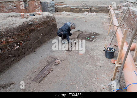 Greifswald, Deutschland. 12. Apr 2019. Archäologin Renate Samariter aus dem Mecklenburg-Vorpommern Landesamt für Kultur und Denkmalpflege ist die Reinigung bis ein Skelett auf der Ausgrabung in der Pommerschen Landesmuseum. Quelle: dpa Picture alliance/Alamy leben Nachrichten Stockfoto