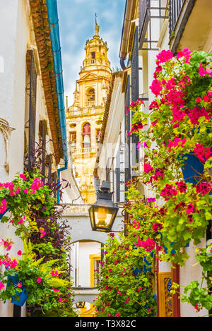 Calleja de Las Flores, Cordoba, Spanien Stockfoto
