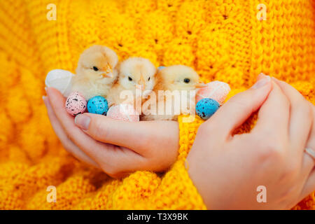 Ostern Huhn. Frau mit drei orange Küken in der Hand mit bunten Ostereier umgeben. Stockfoto