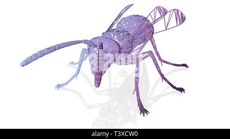 3D-Rendering eines künstlerischen Tier mit Reflexion auf weißem Hintergrund Stockfoto