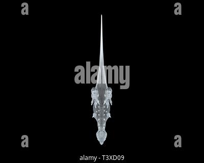 3D-Rendering von einer weißen Kabel dino isoalted auf schwarzem Hintergrund Stockfoto