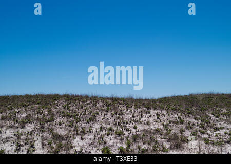 Sanddünen am Golf von Mexiko Strand bei Perdido Pass in Orange Beach, Alabama, USA. Stockfoto