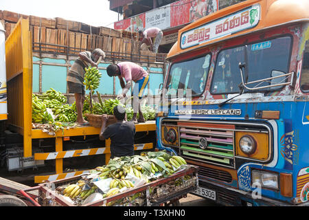 Entladen von Bananen zu Manning Markt, Pettah, Colombo, Sri Lanka Stockfoto