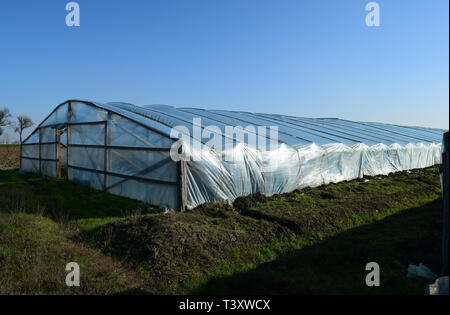 Gewächshäuser der Polymerfolie hergestellt. Zeitigen Frühjahr in den Garten Gewächshäusern. Stockfoto