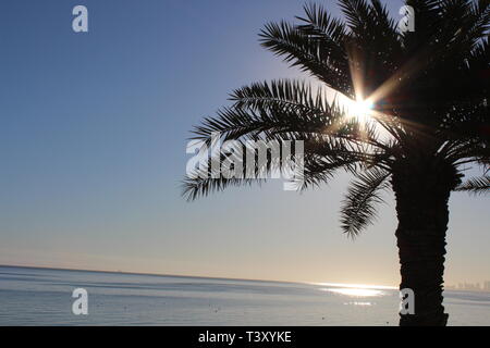 Kuwait Natur Schönheit bei Tag und Nacht Stockfoto