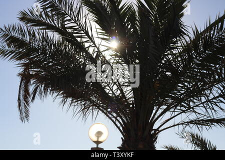 Kuwait Natur Schönheit bei Tag und Nacht Stockfoto