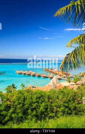 Palmen mit Blick auf tropischen Resort, Bora Bora, Französisch-Polynesien Stockfoto