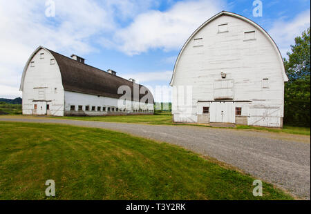 Alte Scheunen auf Bauernhof, Olympia, Washington, Vereinigte Staaten von Amerika Stockfoto