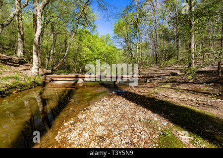 Der Fuß Brücke über Cane Creek bietet einen einfachen Zugang zu den Wasserfall auf der anderen Seite der Brücke. Die Cane Creek Naturschutzgebiet im Nordwesten Alabam Stockfoto