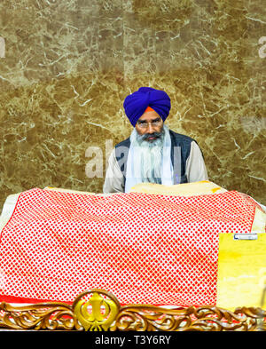 Im mittleren Alter devotee Sikh Mann mit einer langen fließenden weißen Bart trägt einen blauen Turban und Gläser, goldenen Tempel von Amritsar, Amritsar, Punjab, Indien Stockfoto