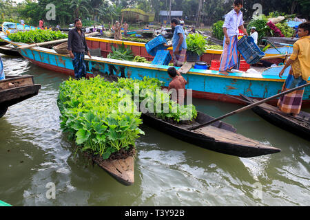 Landwirtschaftliche schwimmenden Markt im Bezirk, Pirojpur Najirpur in Bangladesch. Stockfoto