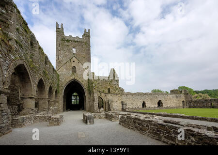 Jerpoint Abbey, eine zerstörte Zisterzienserabtei, in der zweiten Hälfte des 12. Jahrhunderts gegründet, in der Nähe von Thomastown, County Kilkenny, Irland. Stockfoto