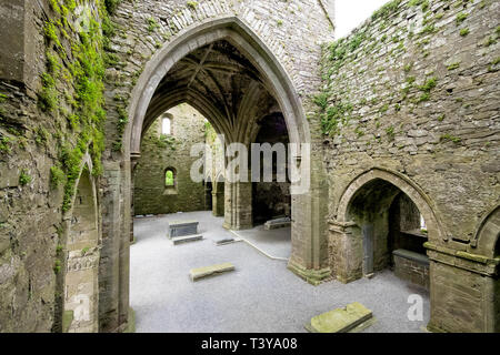 Jerpoint Abbey, eine zerstörte Zisterzienserabtei, in der zweiten Hälfte des 12. Jahrhunderts gegründet, in der Nähe von Thomastown, County Kilkenny, Irland. Stockfoto