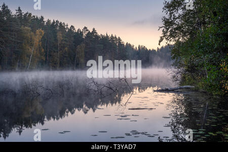 Schöne Landschaft mit See Nebel und Sonnenaufgang am Herbst Morgen in Finnland Stockfoto