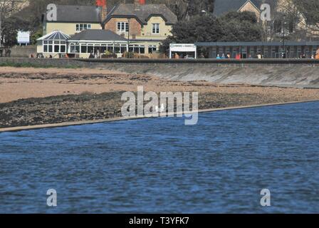 Ein paar Möwen sitzen auf einem Meer Wand in Clevedon Marine See. Stockfoto