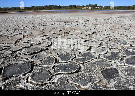 Salinen, Colonia de Sant Jordi, Mallorca Stockfoto