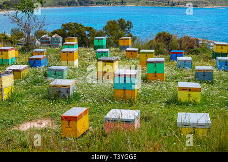 Mehrfarbige bienenstock Boxen an einem Hang mit Blick auf das Meer, Nafplion, Griechenland Stockfoto