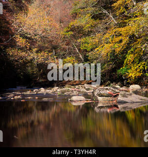 England, Northumberland, allen Banken und Staward Schlucht. Die herbstlichen Farben der Allen Banken Waldgebiet in der Nähe von Hexham in Northumberland. Stockfoto