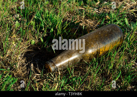 Müll in der Natur, Glas Flasche auf dem Boden liegen. Die Umweltverschmutzung in das Feld ein. Stockfoto