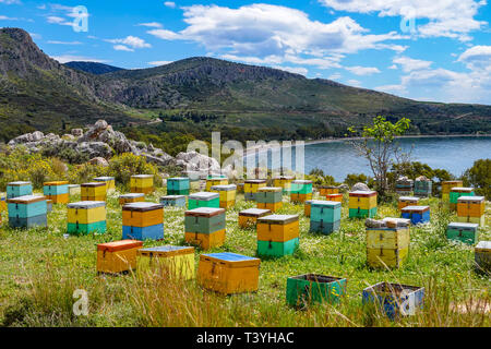 Mehrfarbige bienenstock Boxen an einem Hang mit Blick auf das Meer, Nafplion, Griechenland Stockfoto