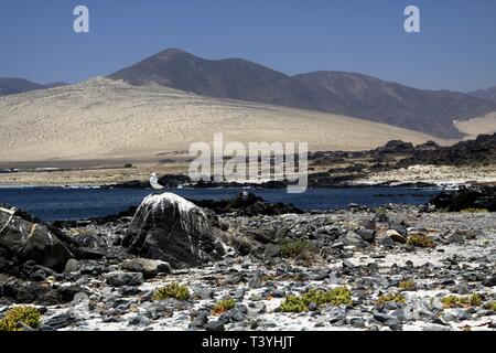 Blick über robuste Steine und Lagune auf kargen trockenen Bergen - Bahia Inglesa an der pazifischen Küste der Atacama-wüste, Playa Blanca (White Beach) Stockfoto