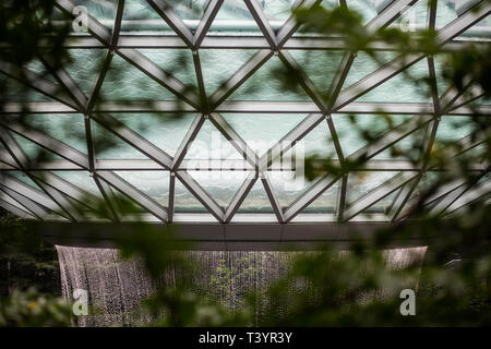 Nahaufnahme des schüsselförmigen Designs, des weltweit höchsten Indoor-Wasserfalls. Wasser stürzt 7 Stockwerke hinunter. Jewel Changi Airport, Singapur Stockfoto