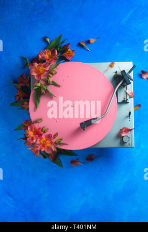 Rosa Block flach mit bunten vinyl Plattenspieler und Blumen. Frühjahr Musik still life Konzept auf einem blauen Hintergrund mit Kopie Raum Stockfoto