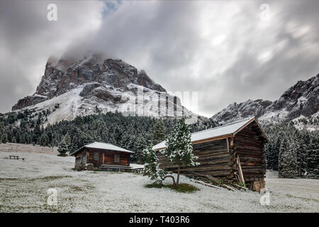 Eine frühe Schneefall am Erbe Pass, ein hoher Höhe Straße in den Dolomiten, mit der Spitze bekannt als Sass de Peiterkofel Peitlerkofel (in deutscher Sprache) im Hinterg Stockfoto