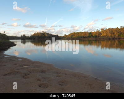 Spiegelungen der Bäume auf dem Wasser. Die Bäume wachsen an den Ufern des Flusses befinden sich im Wasser spiegelt. Stockfoto