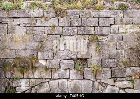 Alte Mauer mit Rissen und wilde Pflanze Wachstum Stockfoto