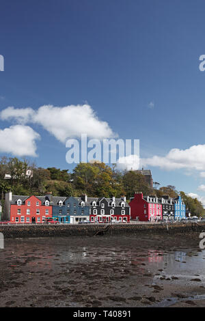 Die bunten Häuser und Geschäfte der Stadt von Tobermory und den Hafen bei Ebbe Mull Schottland Großbritannien Mai 2012 Stockfoto