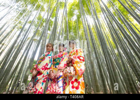 KIMONOS IN Bambus Wald, in KAMAKURA/JAPAN Stockfoto