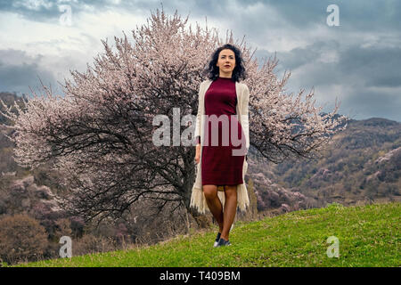 Mädchen Wandern in den Frühling im Freien. Ein Mädchen geht auf grünem Feld unter der Krone einer blühenden wilden Aprikosenbaum. Frühling Stimmung. Einem Baum wie ein bl Stockfoto