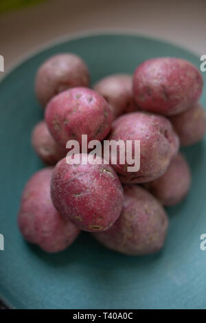 Rote haut Kartoffeln in eine Schüssel geben. Stockfoto