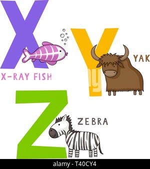Englisch animal Alphabet X-, Y- und Z-Briefe mit cute Cartoon x-ray Fisch, Yak und Zebra Stock Vektor