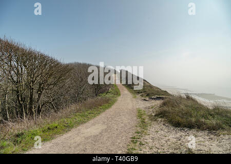 Nahaufnahme auf Zoutelande hügeligen Dünen wandern Pfad/Niederlande Stockfoto