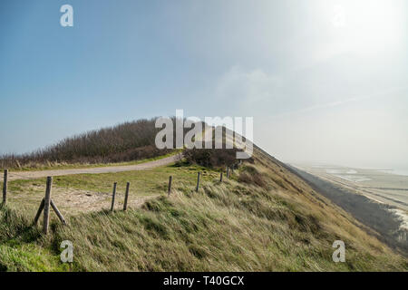 Nahaufnahme auf Zoutelande hügeligen Dünen wandern Pfad/Niederlande Stockfoto