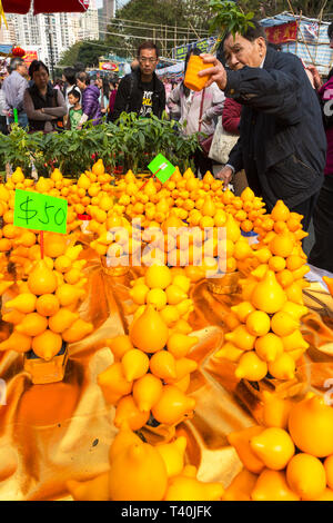 Neujahrsfest Blumenmarkt, Victoria Park, Hong Kong Stockfoto