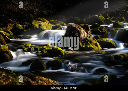 Wasser das Leben und die Natur in Österreich Stockfoto