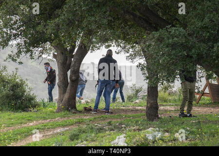 Palästinensische Jugendliche werfen Steine auf das israelische Militär in Bilin, West Bank, Palästina, 15.02.19. Stockfoto