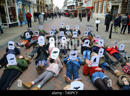 Studenten halten Bilder der bedrohten und ausgestorbenen Tiere, wie sie sich an einem Streik für Klimawandel in Canterbury, Kent, Teil der YouthStrike 4 Klima Bewegung als Proteste in den Städten und Gemeinden in Großbritannien geplant sind. Stockfoto