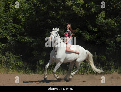 Schönes Modell cowgirl Bareback ihr Pferd im Wald Lichtung bei Sonnenuntergang Stockfoto