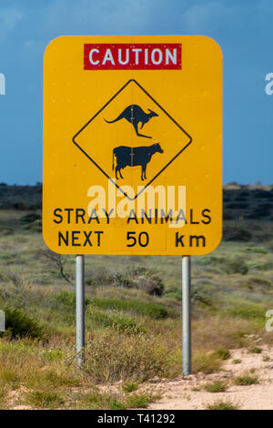 Vorsicht streunende Tiere nächsten 50 km Schild im Outback Australien Stockfoto