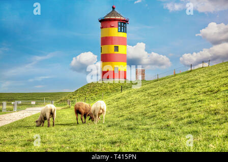 Schafe vor dem Pilsumer Leuchtturm an der Nordsee in Deutschland. Stockfoto